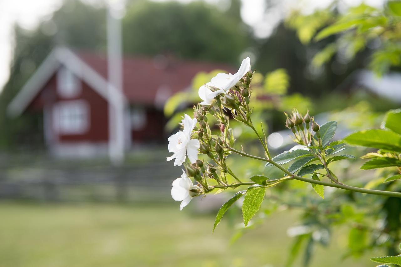 Modal Annex Hultsfred község Kültér fotó